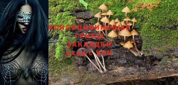 трава Кинешма
