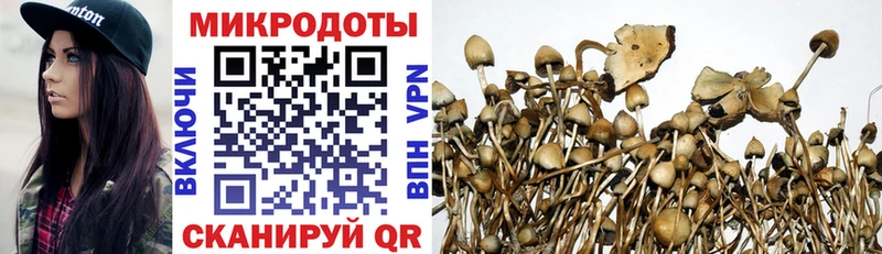 хочу   Ржев  Галлюциногенные грибы мухоморы 