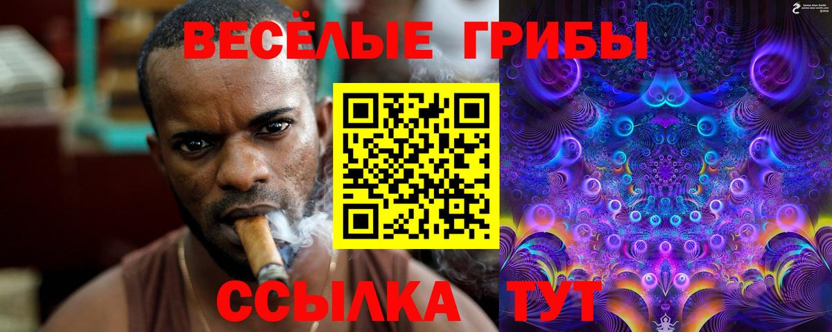 Псилоцибиновые грибы Cubensis  Вход с VPN  наркота  Ржев 