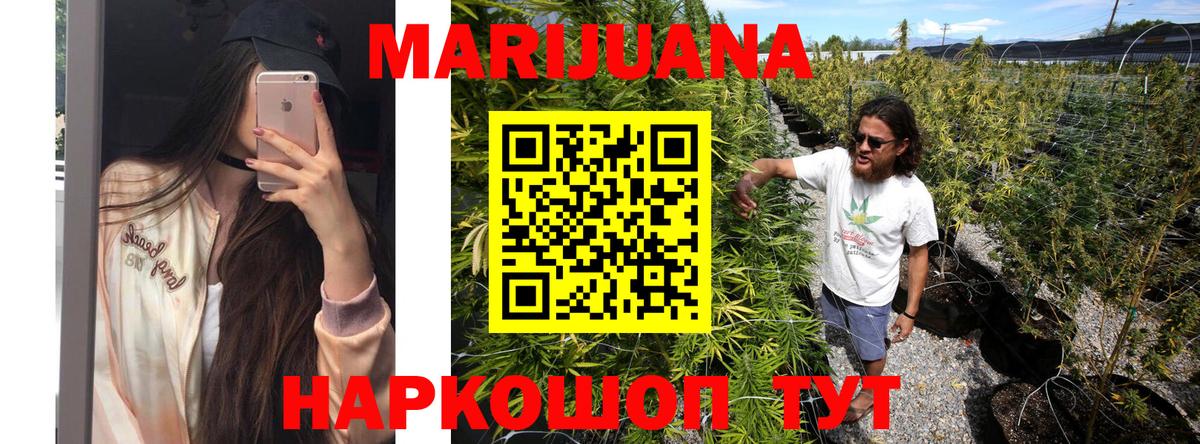 Бошки Шишки гибрид Ржев